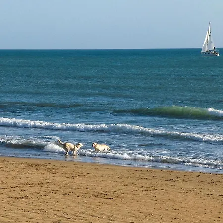 Holiday home Pet Friendly In With House Sea View